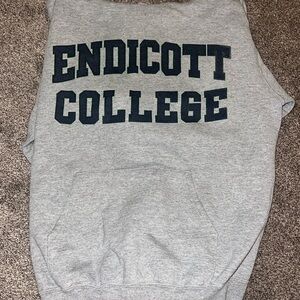 Vintage Campion College Hoodie